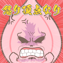 KINOKO-KUN everyday JP