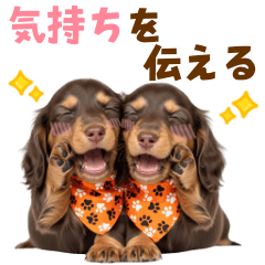 20250531DAKS