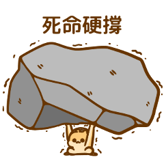 肥兔兔佩兔-職場補給站