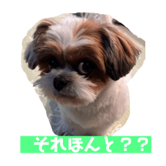 SK_20250601084904