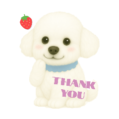 fluffy Poodle Cute puppy  stickers