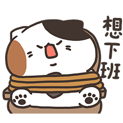 小三花看家中Sanfa cat-朝九晚六的小菜貓