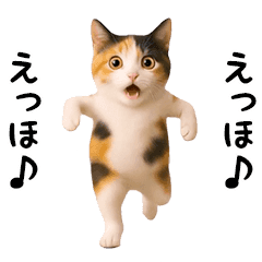 A cat trying to say something
