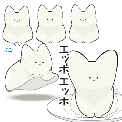 NEKKO PUDDING