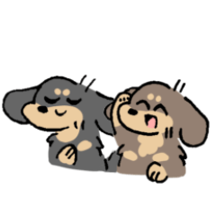 Black/chocolate & tan short legged dogs