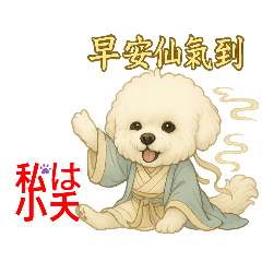 small_20250601185448