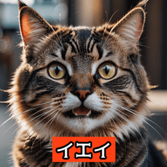 表情豊かなしゃべる　ネコ