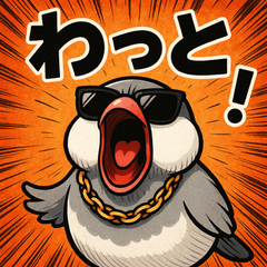 Link Up! Hype BIRDY