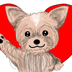 Naughty Yorkshire terrier