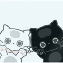 ネコのピノとモモ