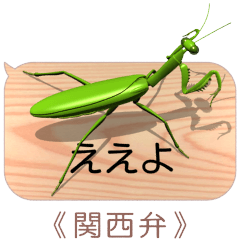 Mantis on the smartphone 6