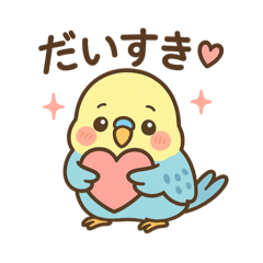 大好きセキセイインコ