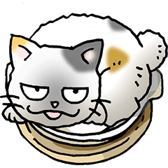 Cat and clay pot part 1