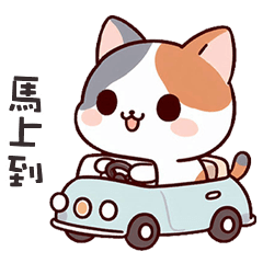 (=´ω`=) 小胖貓貓馬上到