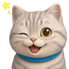 Chubby Gray Cat (BIG)TW