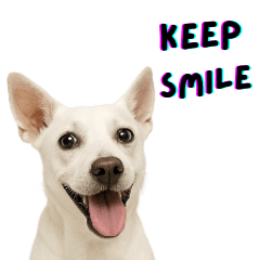 White puppy greeting