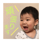 SHUTO.3