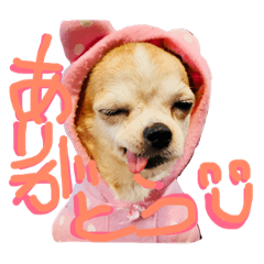Home of the dog stamp