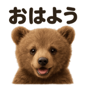 MINA_20250602194414
