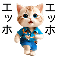 Aloha shirt cat (summer)