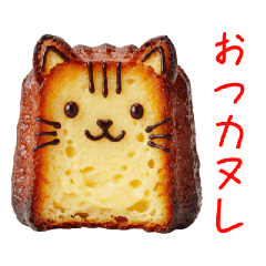 Cat canele delivers sweet messages.
