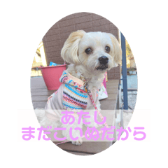 自己満スタンプ-姫ver.