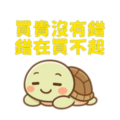 Mini pi_20250603004924