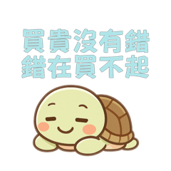 Mini pi_20250603010312
