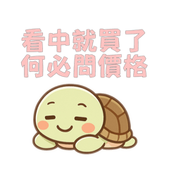 Mini pi_20250603011011