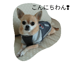 cota(^^)/