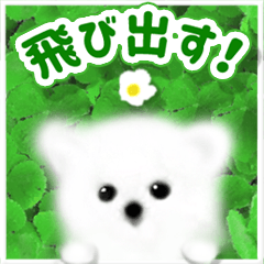 POPUP white dog 2025 revise