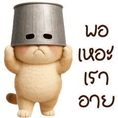 ชานม แมวอ้วนน่ารัก