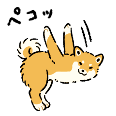 今日も柴犬が可愛い5 -赤柴-