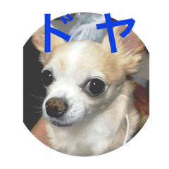 mokas