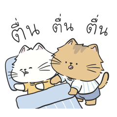 ไข่ขาวไข่แดง: คำพูดทั่วไปในชีวิตประจำวัน