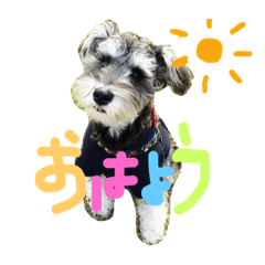 wagayanohachi