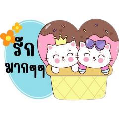 แมวน้อยตัวขาว