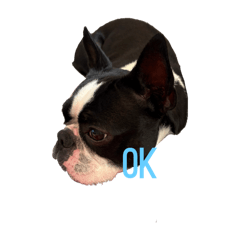 monakanonichijyou