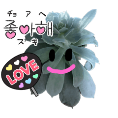 多肉ちゃんスタンプ。多肉植物好きに。