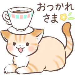 Sand cat Sasha 2