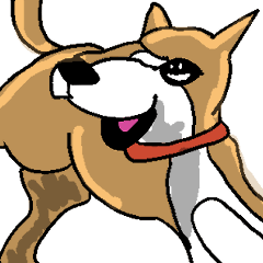 Always a laid-back Shiba Inu.