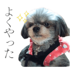pixie_20250603150113