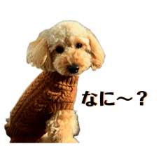 1日の過ごし方