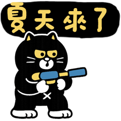 Tempomeow | Summer is coming