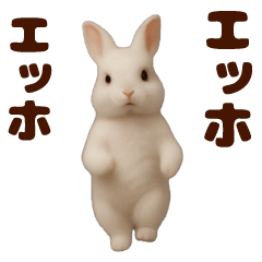 Dancing! Rabbit MAX