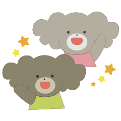 Good Toy poodle's