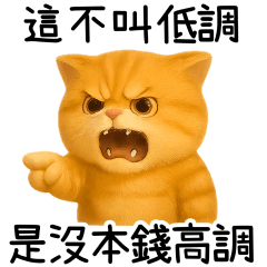 黃貓看你欠人噹
