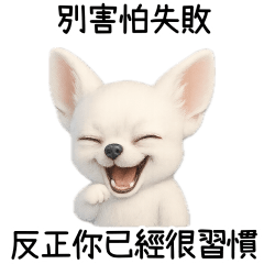 吉娃娃：人生很難