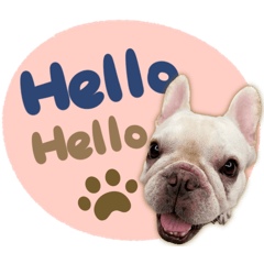 Little princess' daily life #1