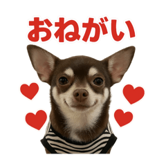 hayato_20250604072819